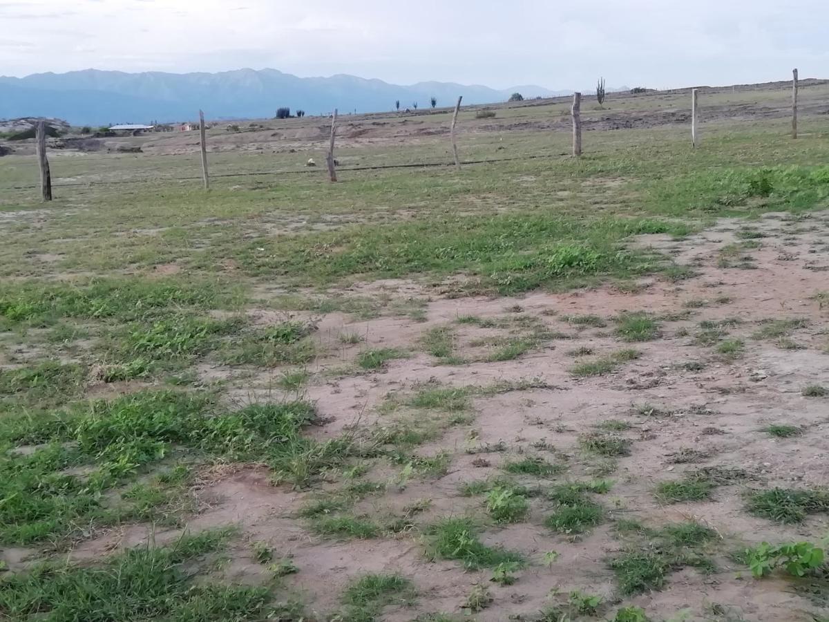 Pachingo La Primavera Villavieja Εξωτερικό φωτογραφία