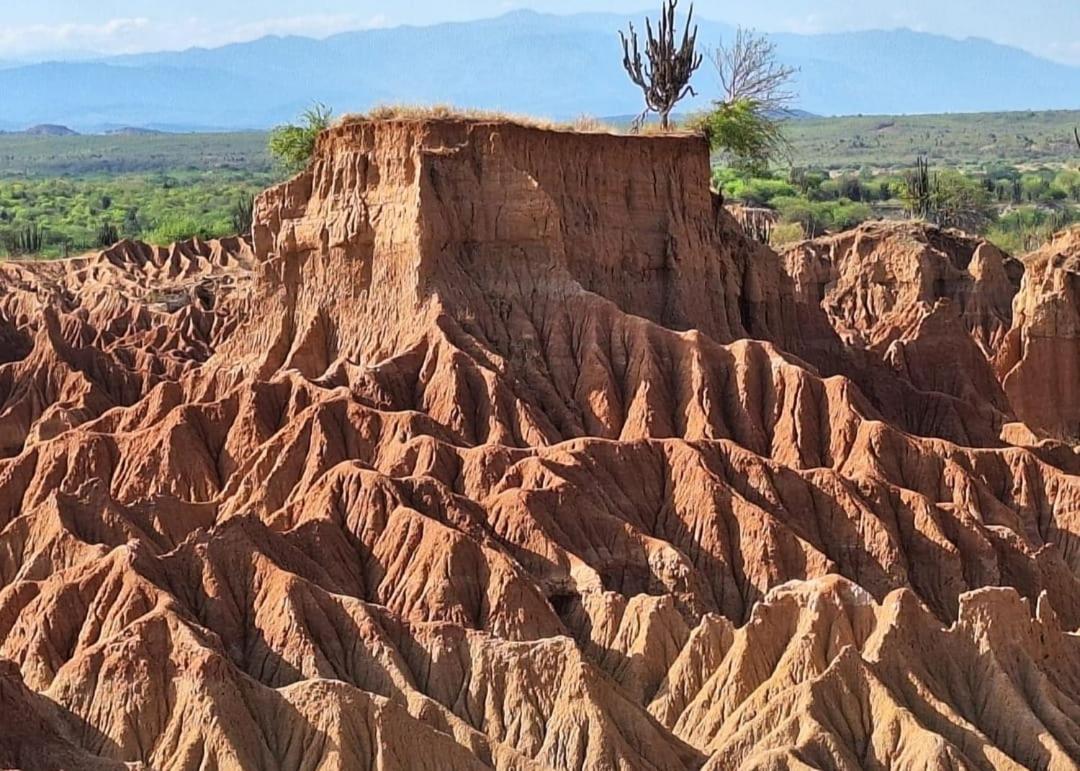 Pachingo La Primavera Villavieja Εξωτερικό φωτογραφία