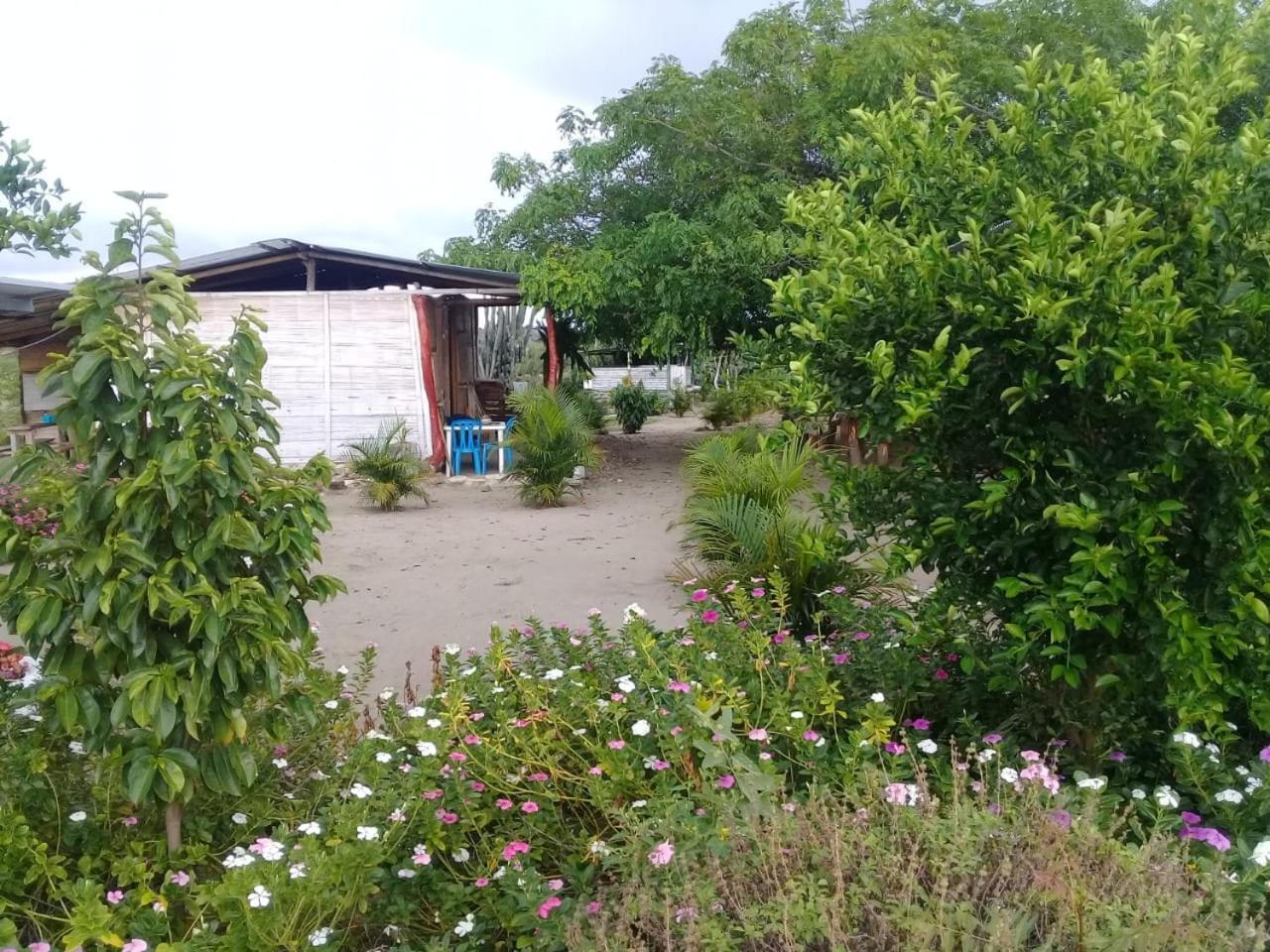 Pachingo La Primavera Villavieja Δωμάτιο φωτογραφία